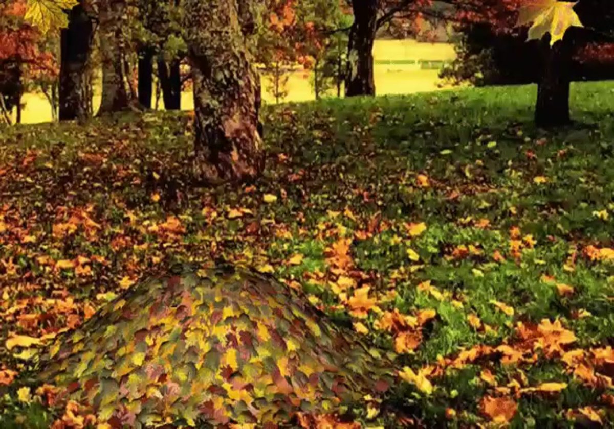 Счастливой осени