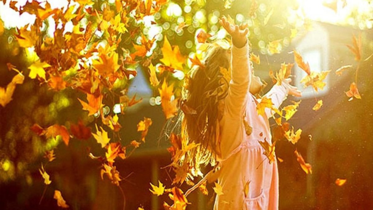 Осень листопад