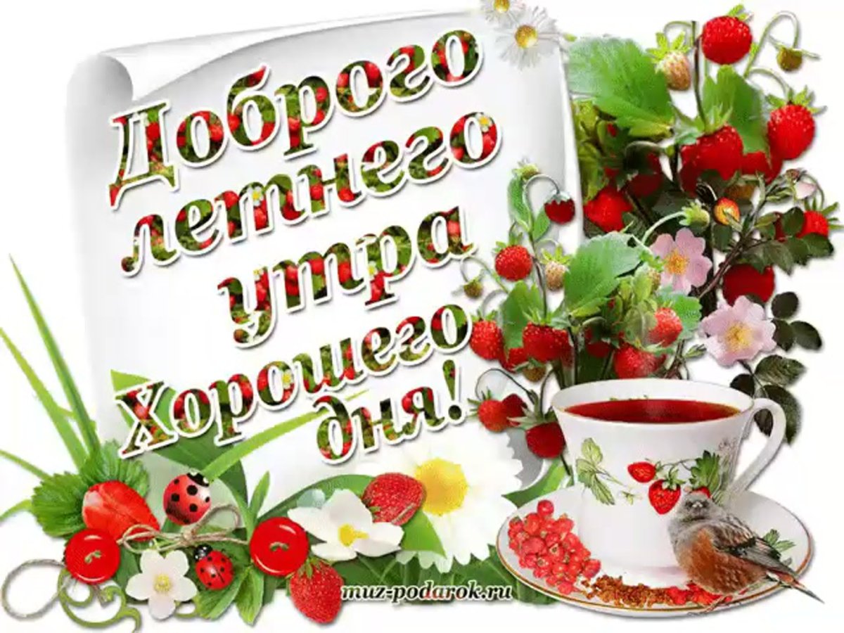 Открытки с добрым воскресным утром