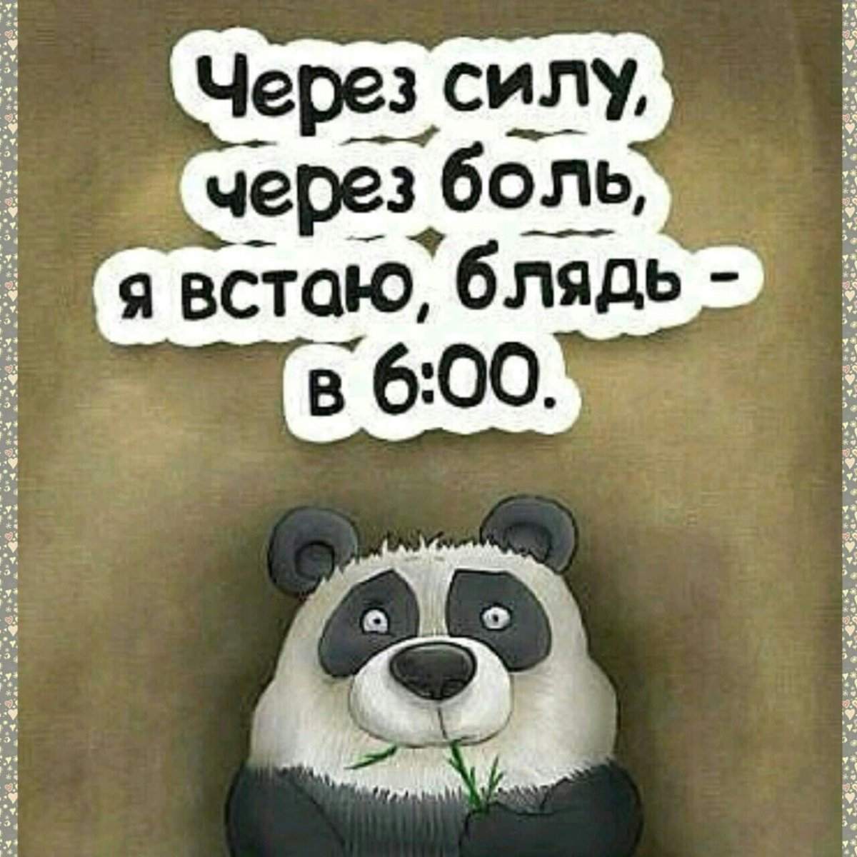 Через силу через боль просыпаюсь в 6 00