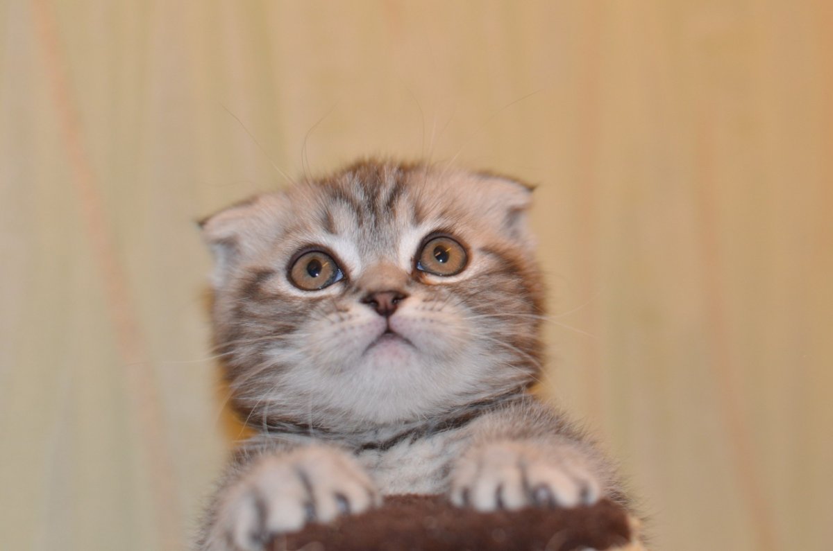 Скоро домой с работы