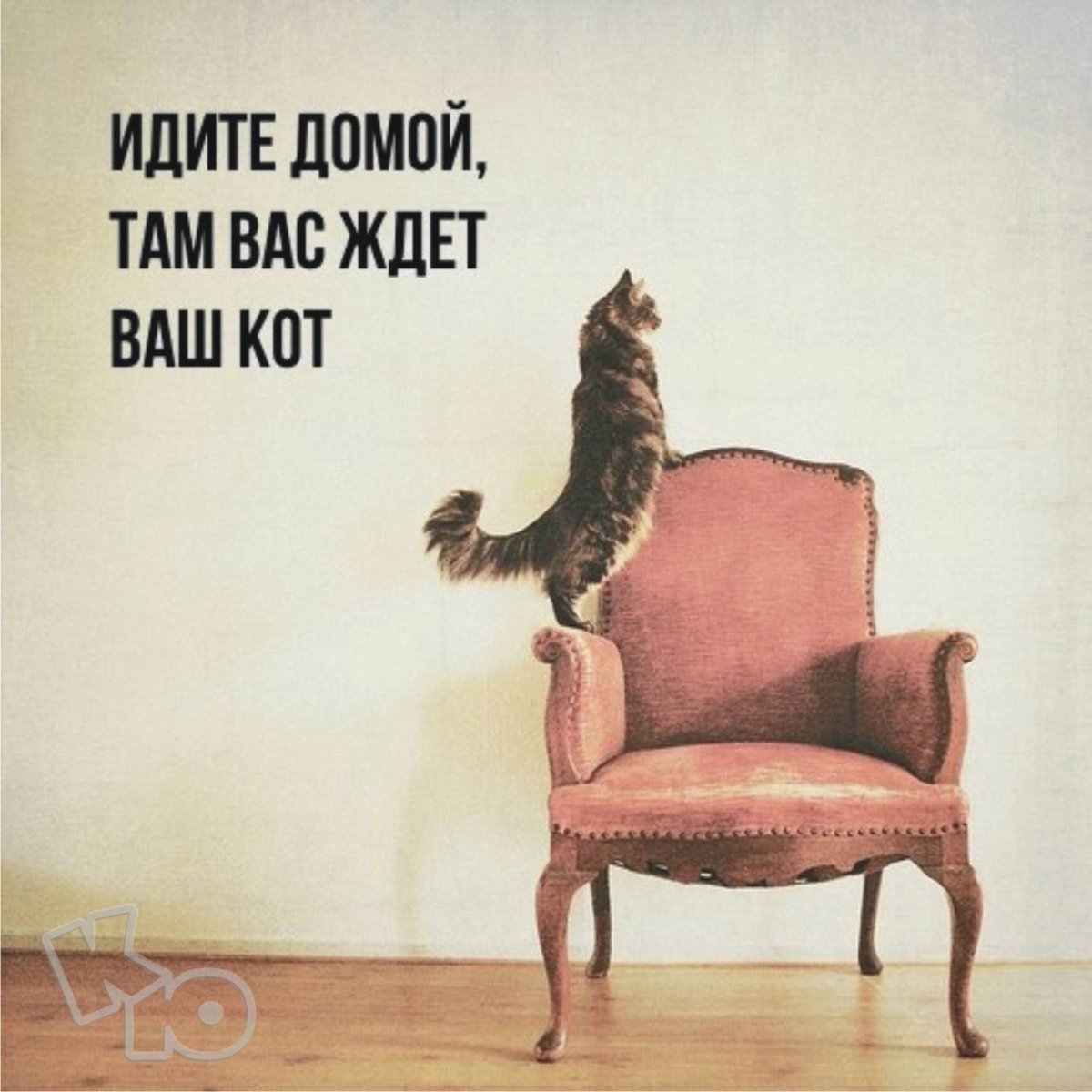 Идите домой