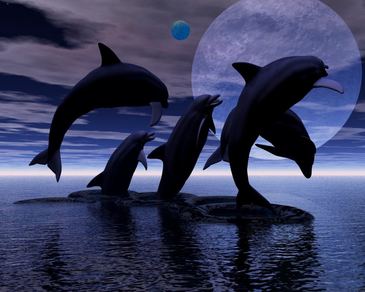 Киты и дельфины