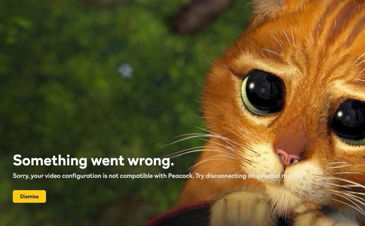 Кот в сапогах Шрек глаза