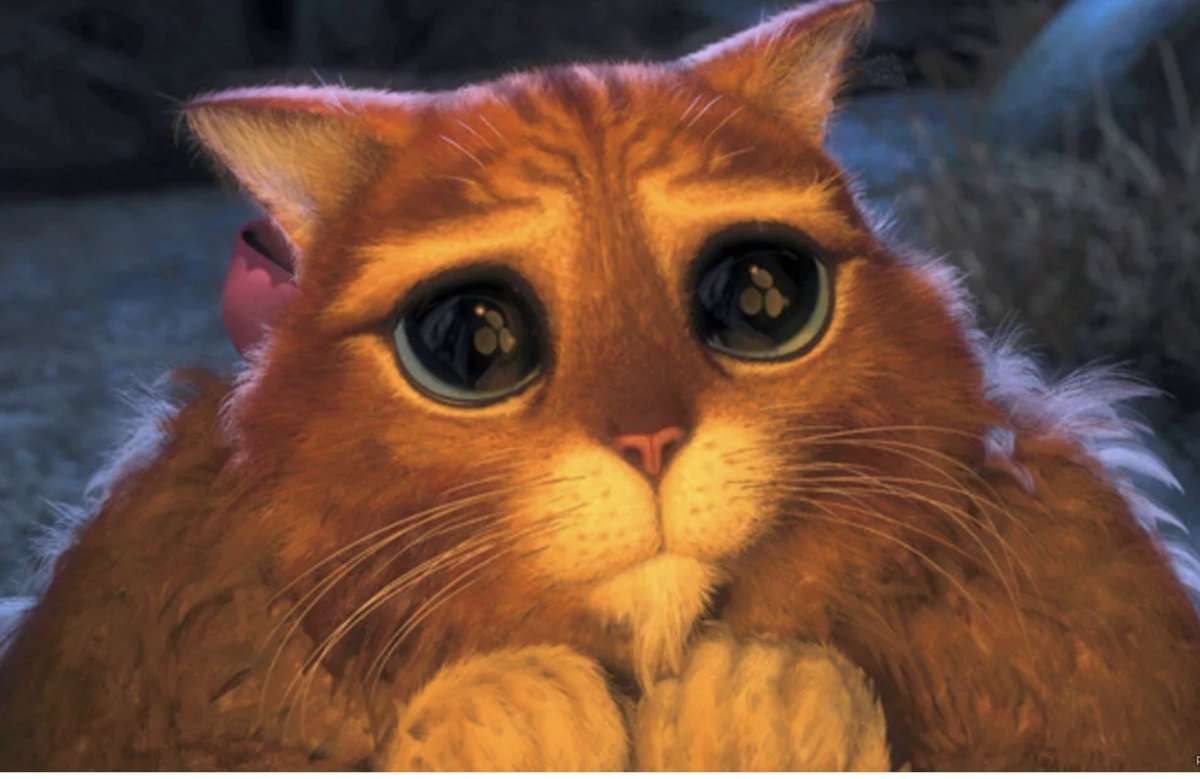 Кот Шрек глаза