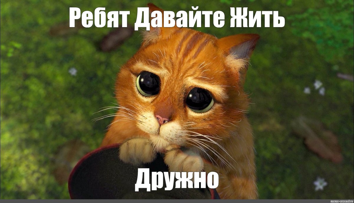 Котик из Шрека