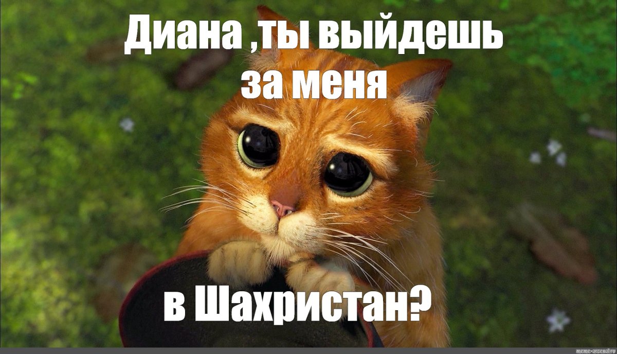 Кот из Шрека с большими глазами