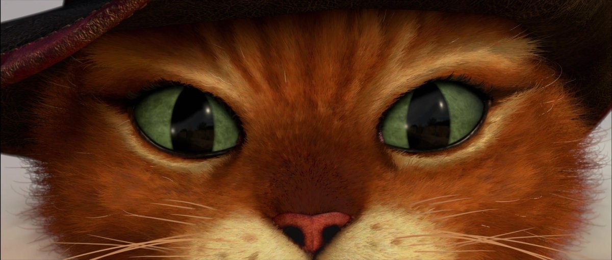 Кот Шрек глаза