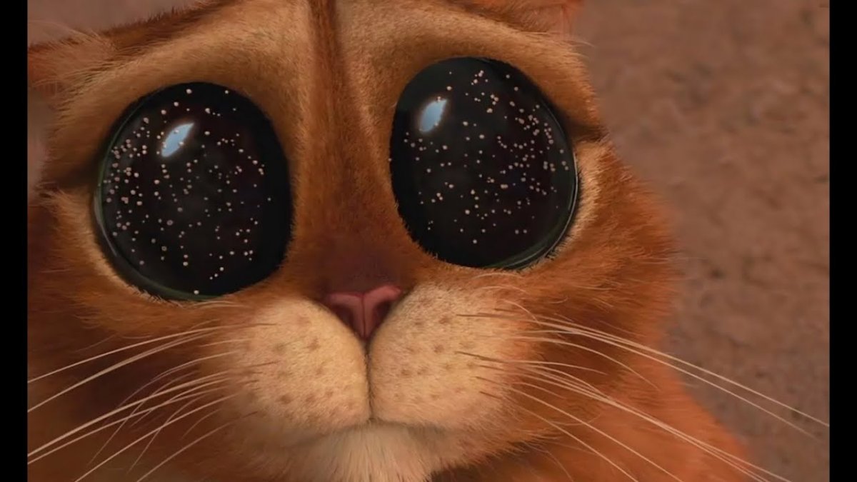 Кот из Шрека с большими глазами