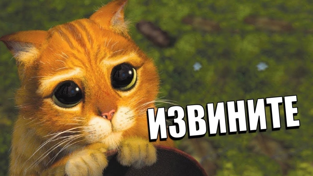 Кот из Шрека картинки