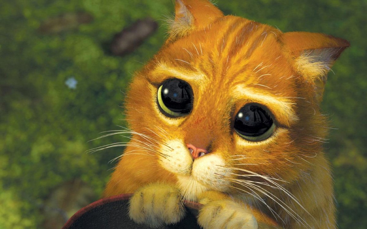 Кот в сапогах Шрек