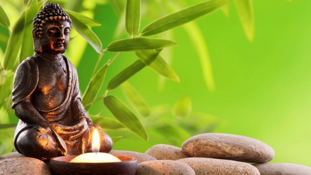 Бархат Амурский бонсай