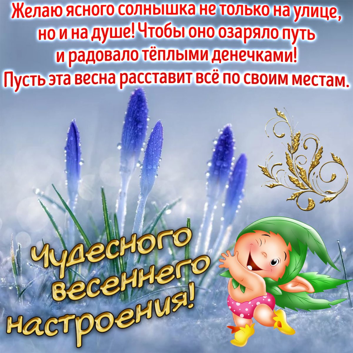 Доброго утра и хорошеготнастроения