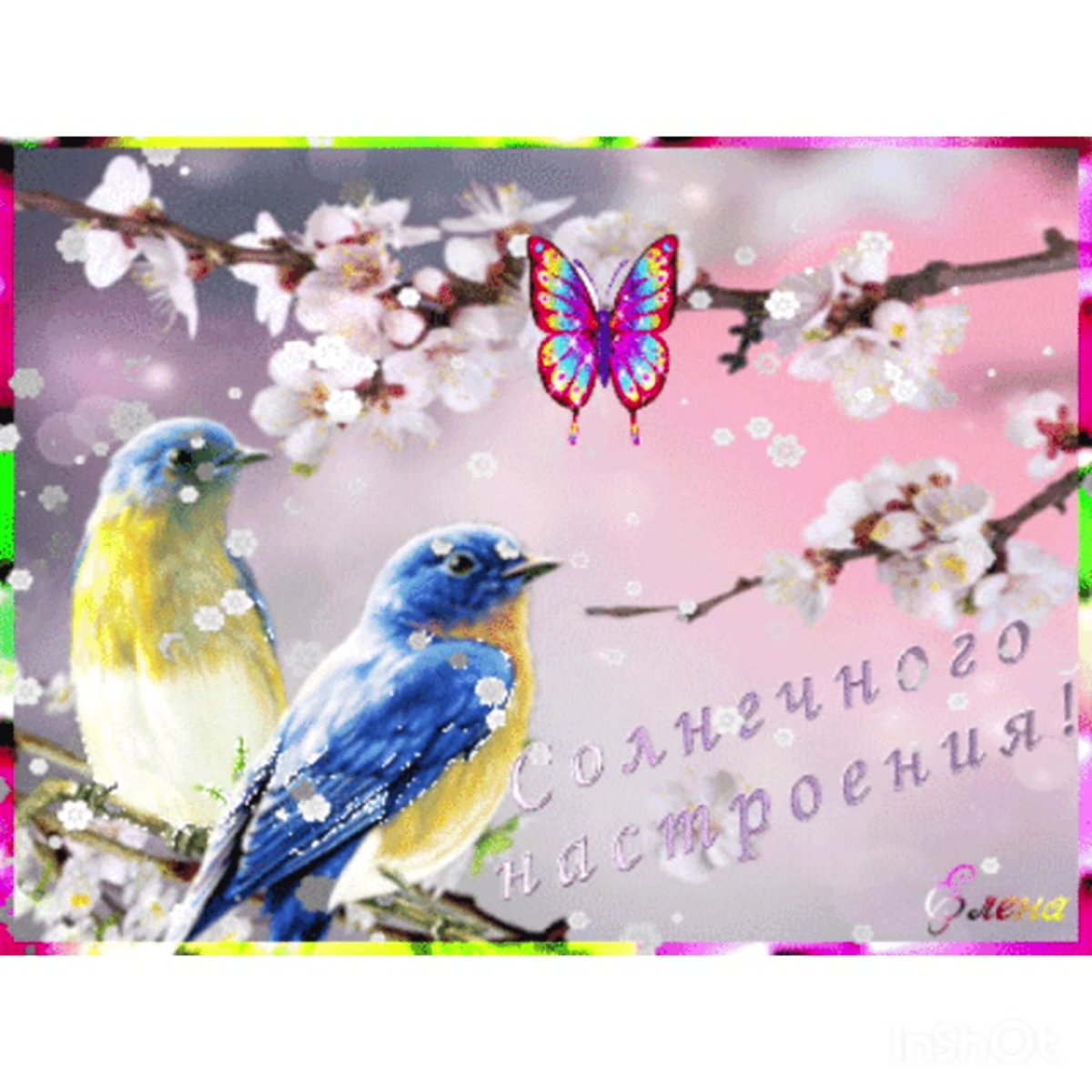 Весеннего настроения и солнечных дней