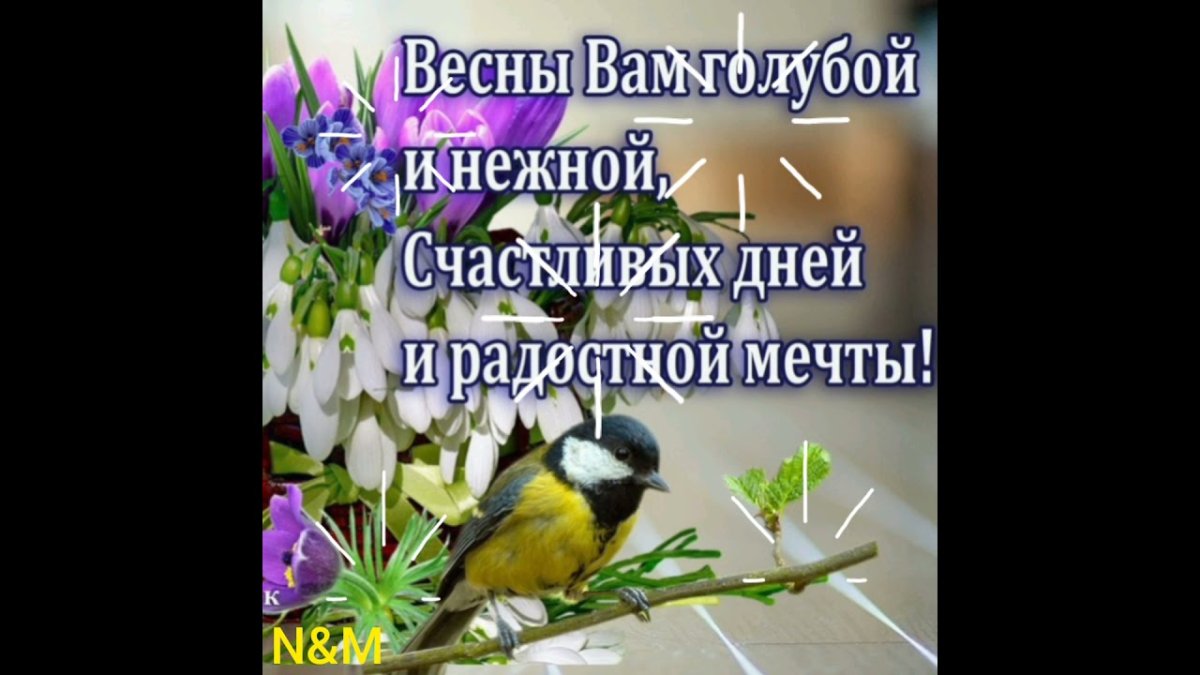 Доброе утро сирень