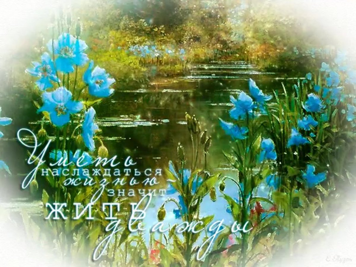 Весенние цветы и пожелания доброго дня