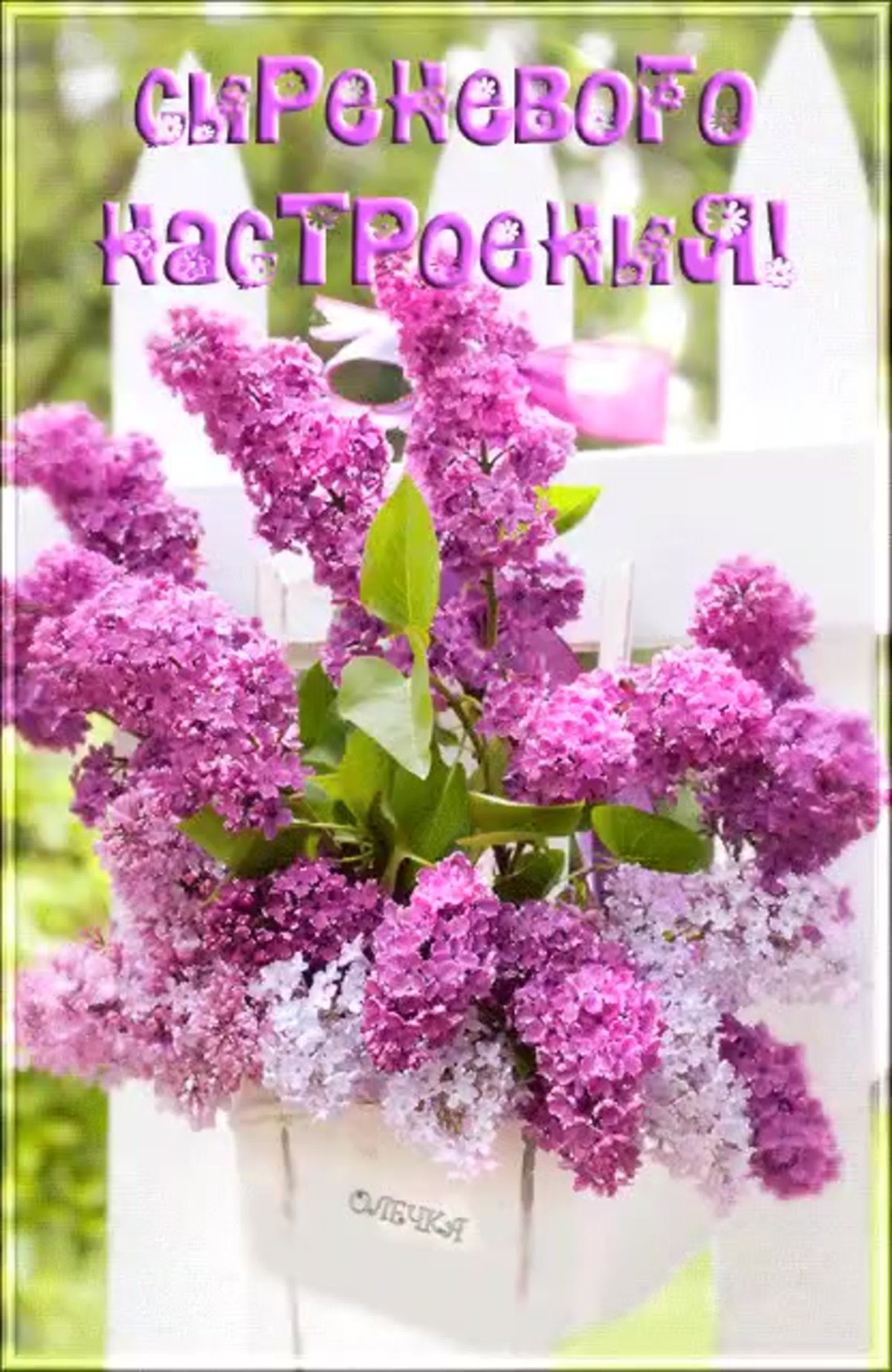 Открытки с сиренью красивые