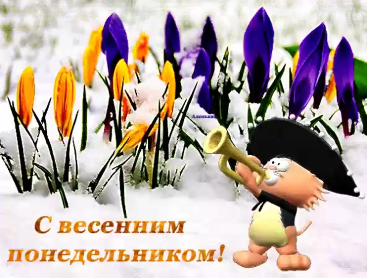 Открытки хорошего дня с тюльпанами