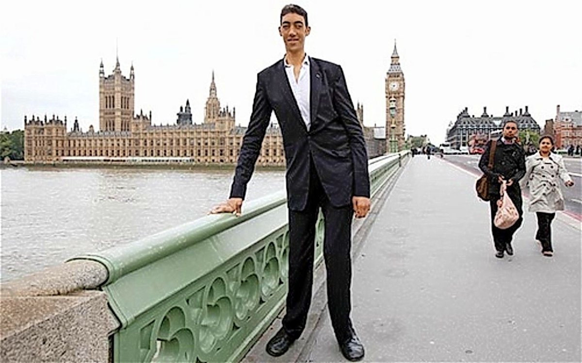 Турок Султан Косен