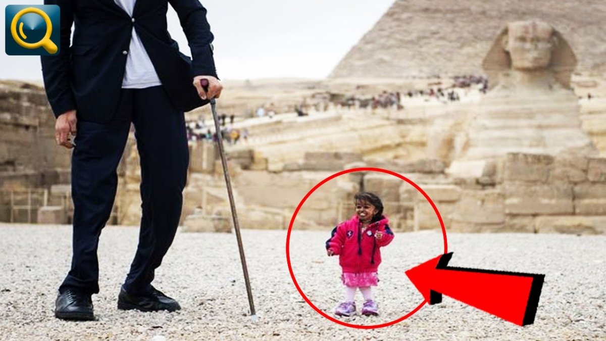 Мировые рекорды Гиннесса