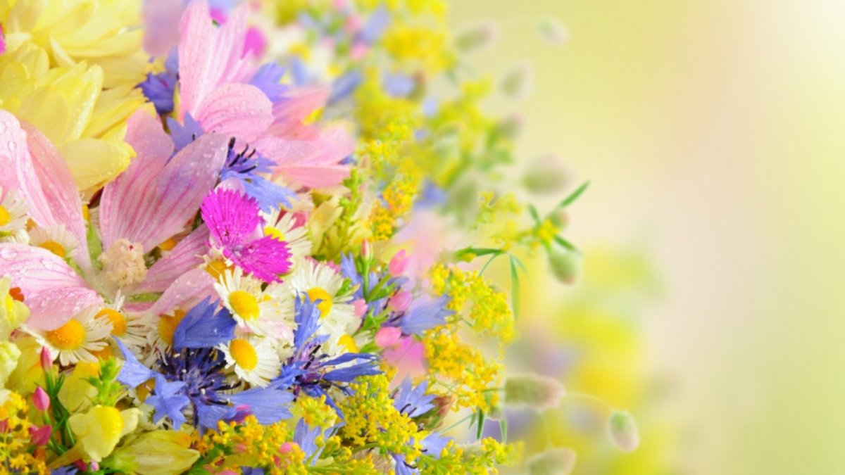 С днём дошкольногоработника