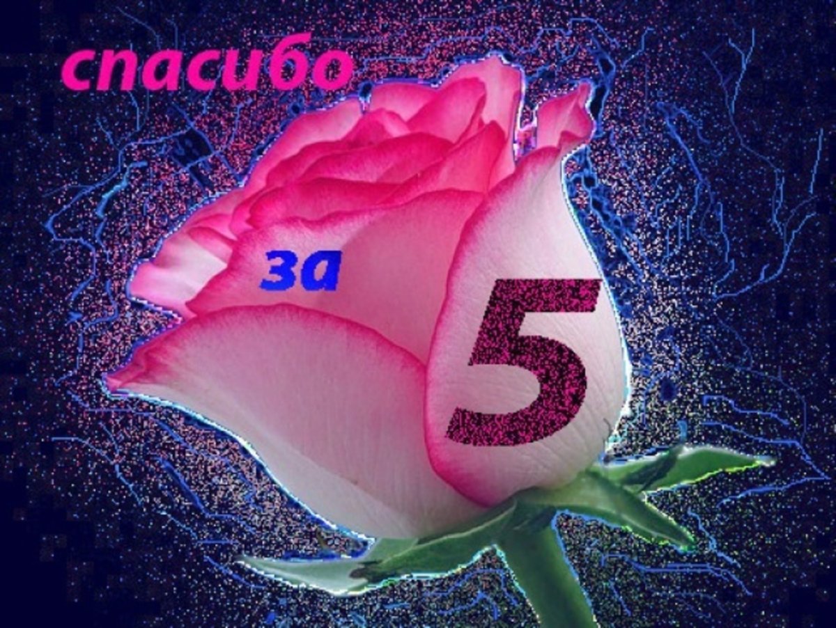 Спасибо за оценку