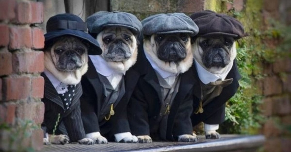 Хорошего вечера и отличного настроения