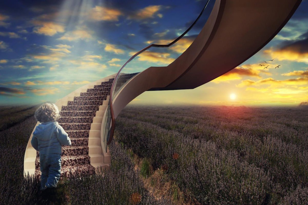 Дорога в лесу