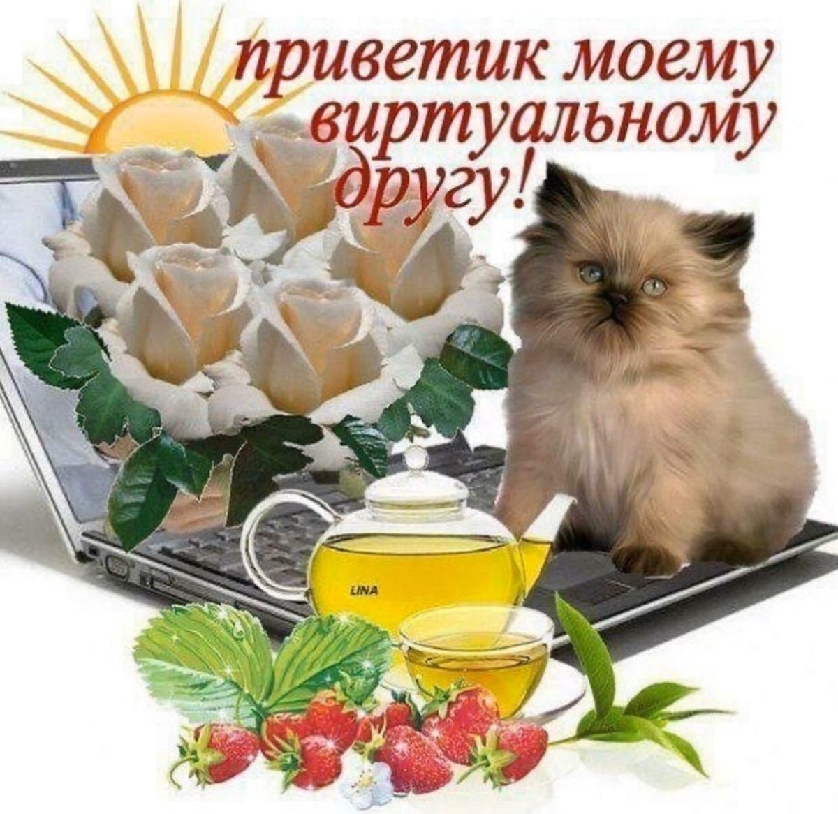 Приветствие виртуальному другу