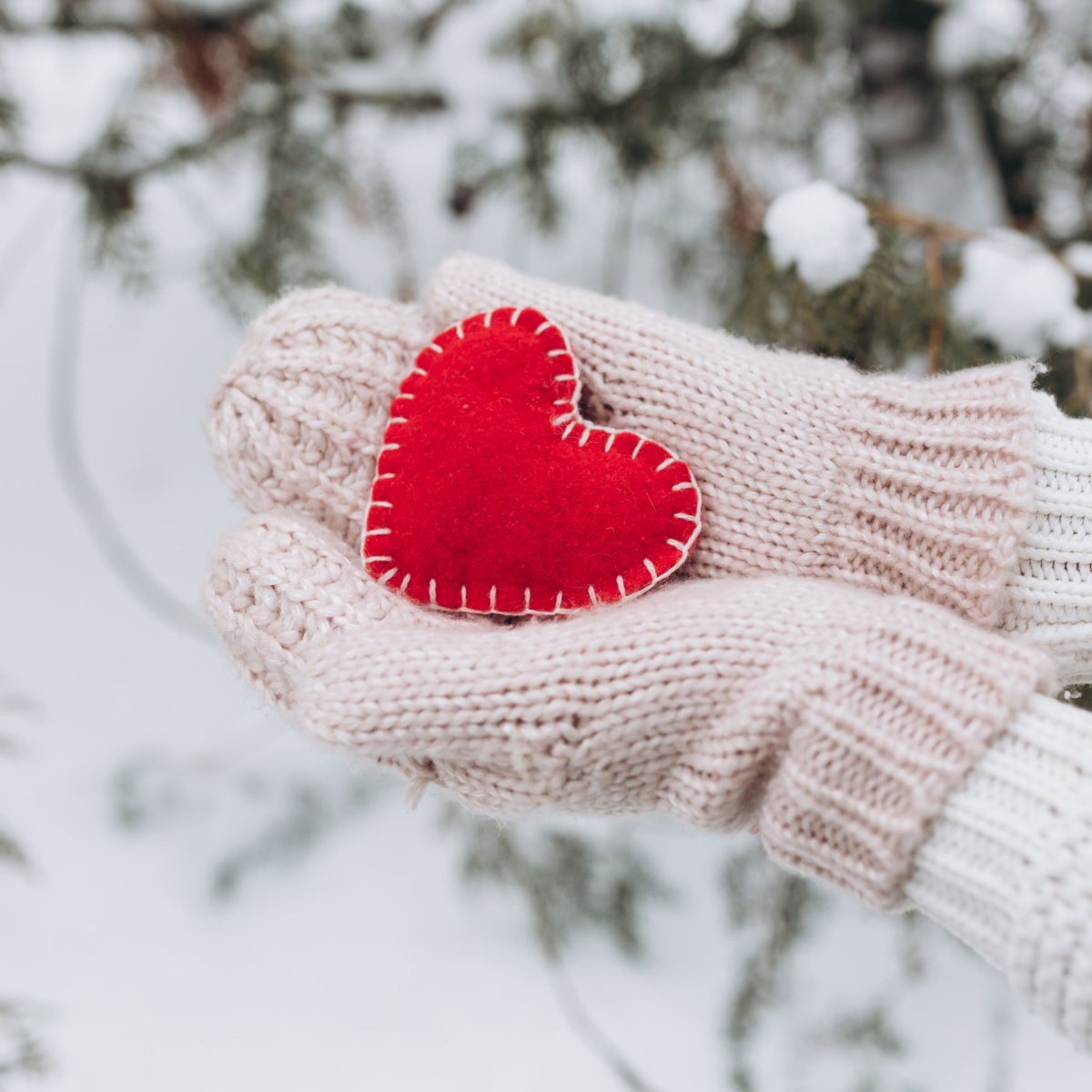 Сердце в варежках