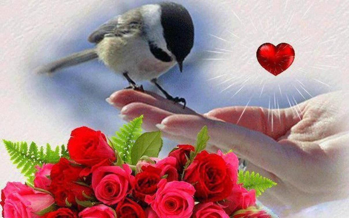 Доброты и душевного тепла