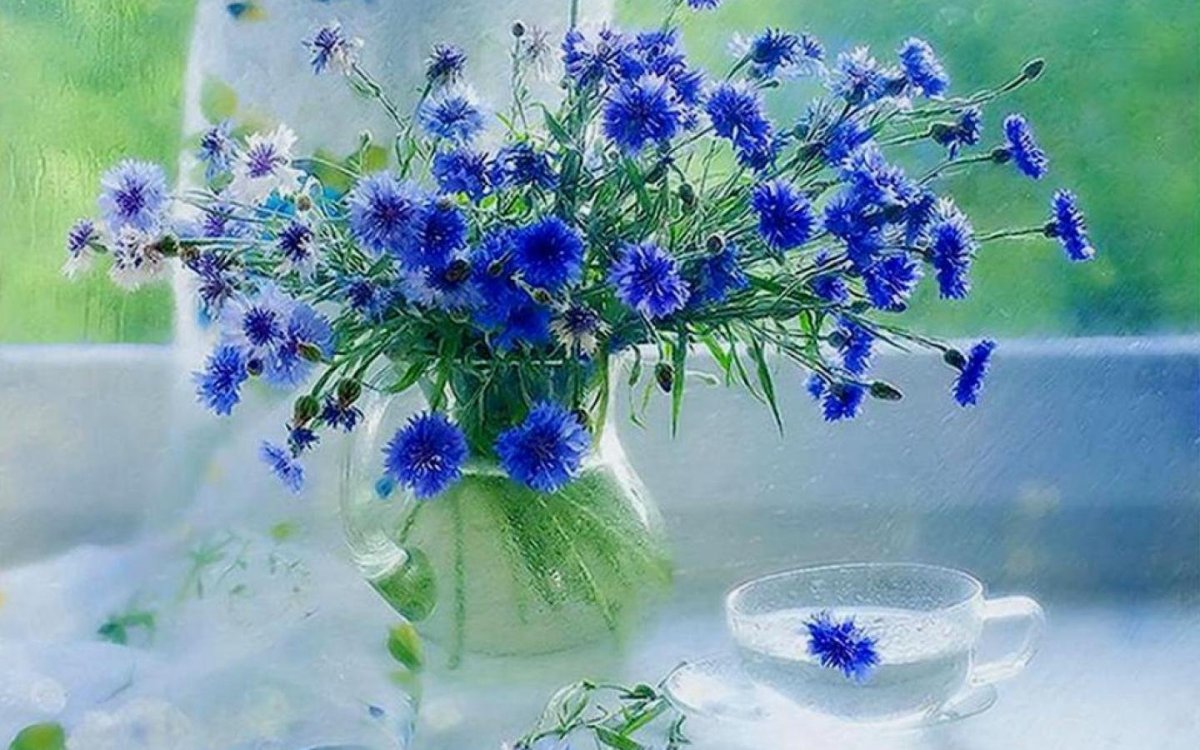 Доброе утро с впсвасельками