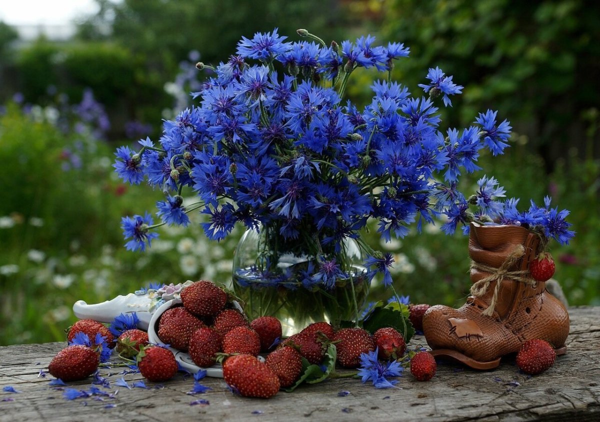 Васильки букет