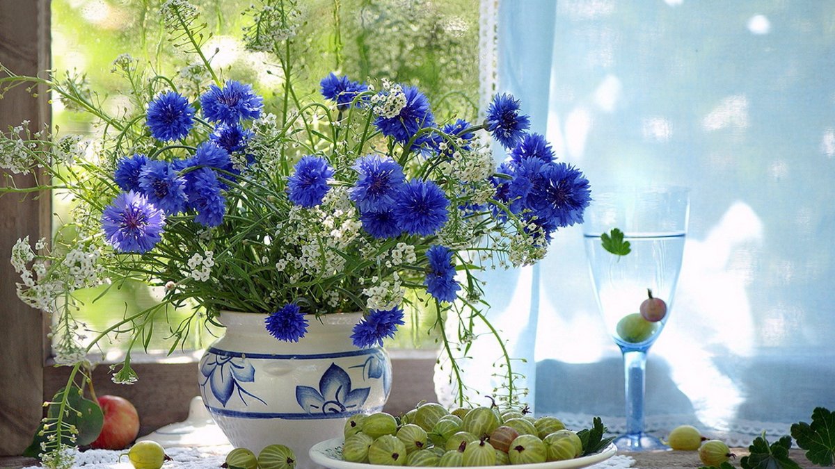 Маргаритки васильки