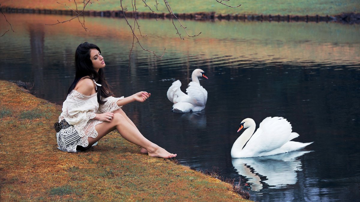 Лебеди сердечко на море