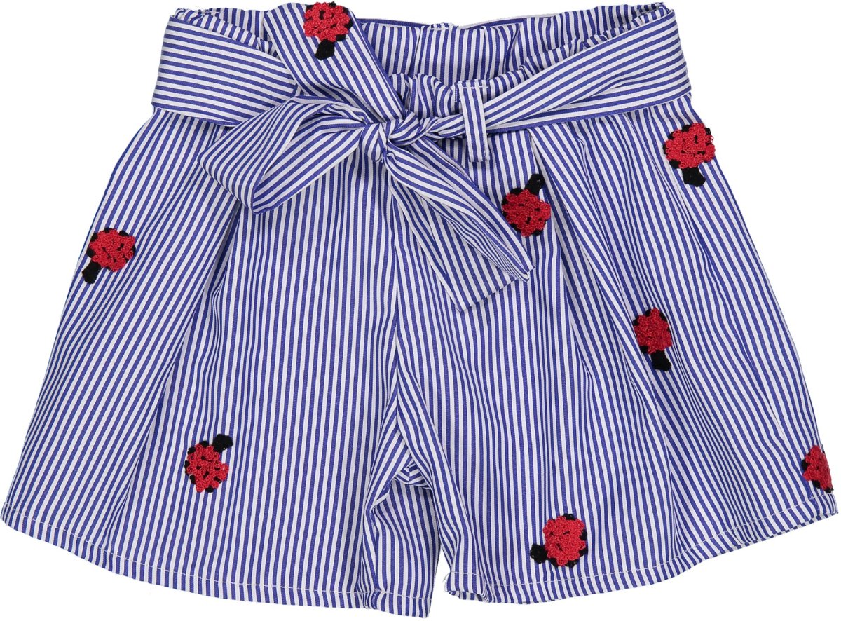 Детские шорты вектор