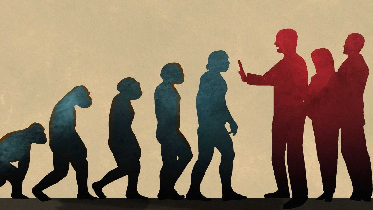 Толерантность (социология)