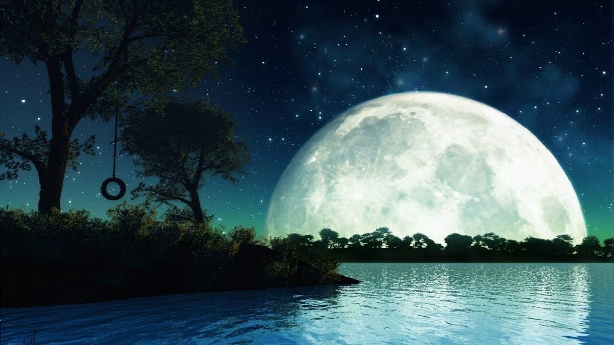 Лунная Весенняя ночь