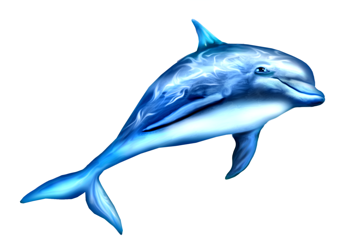 Морские обитатели на белом фоне