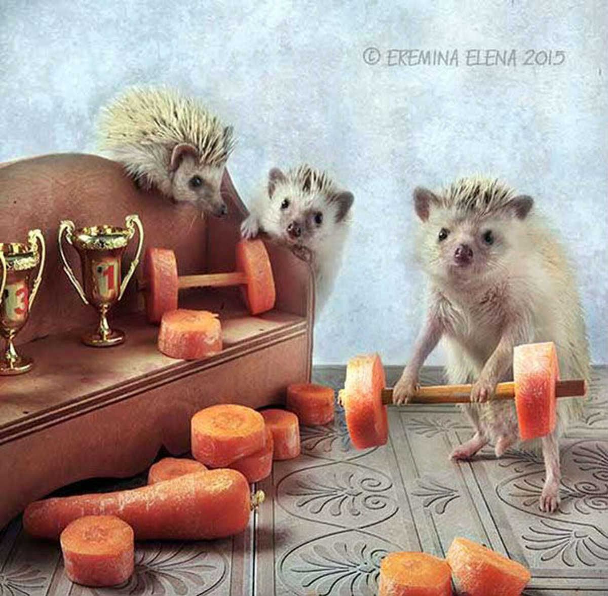 Еремина Елена Тайная жизнь ежиков