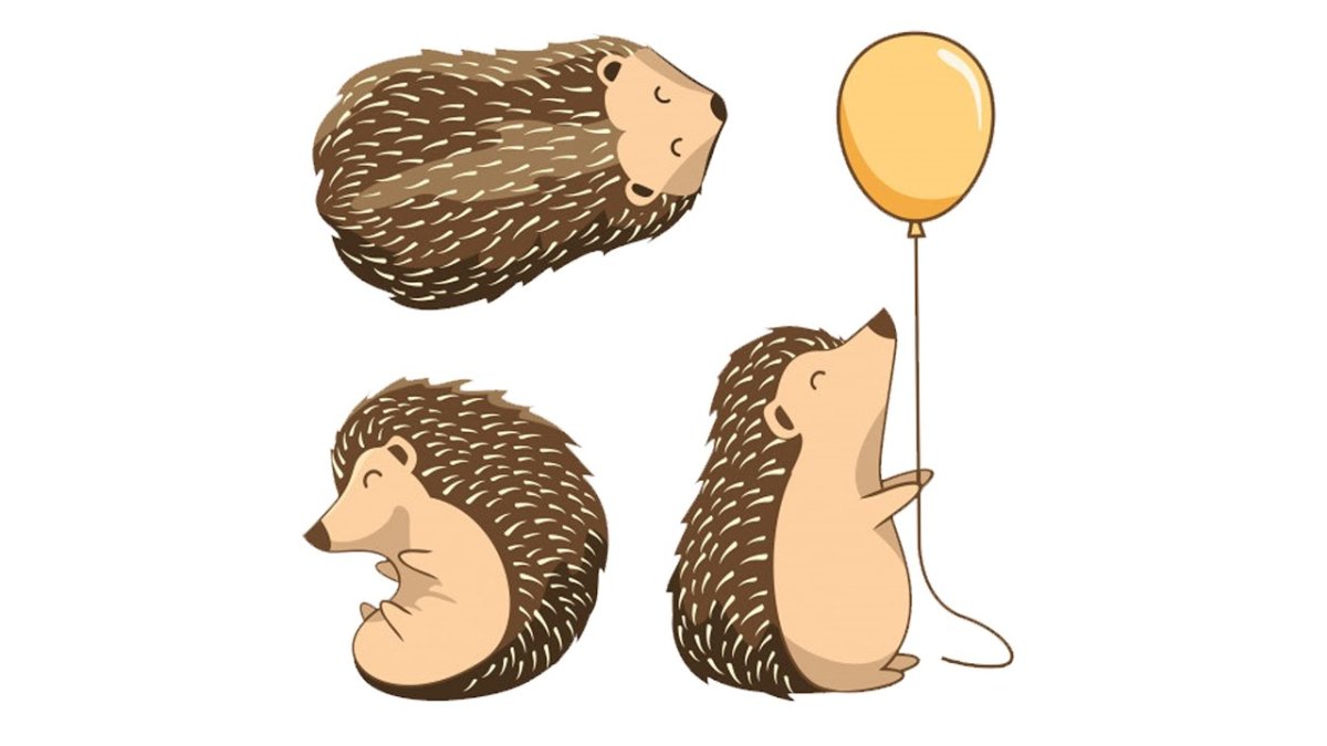 Смешной еж