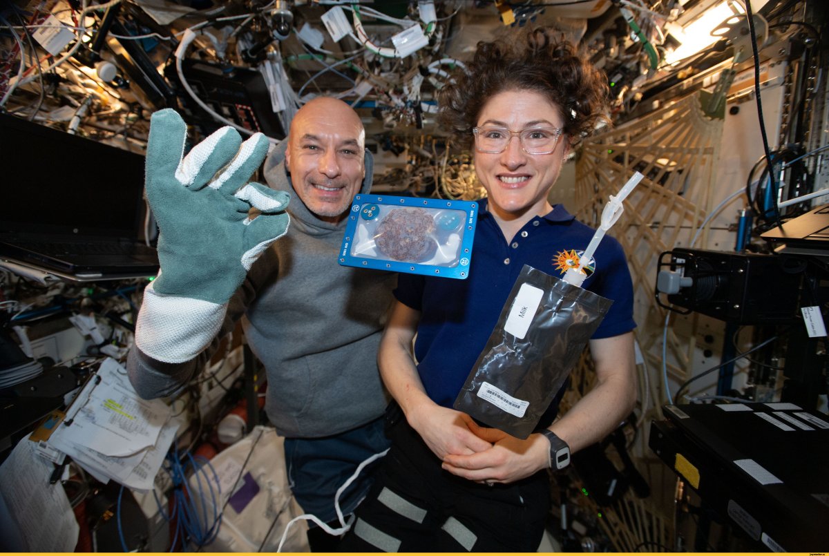 Эксперименты дети вектор