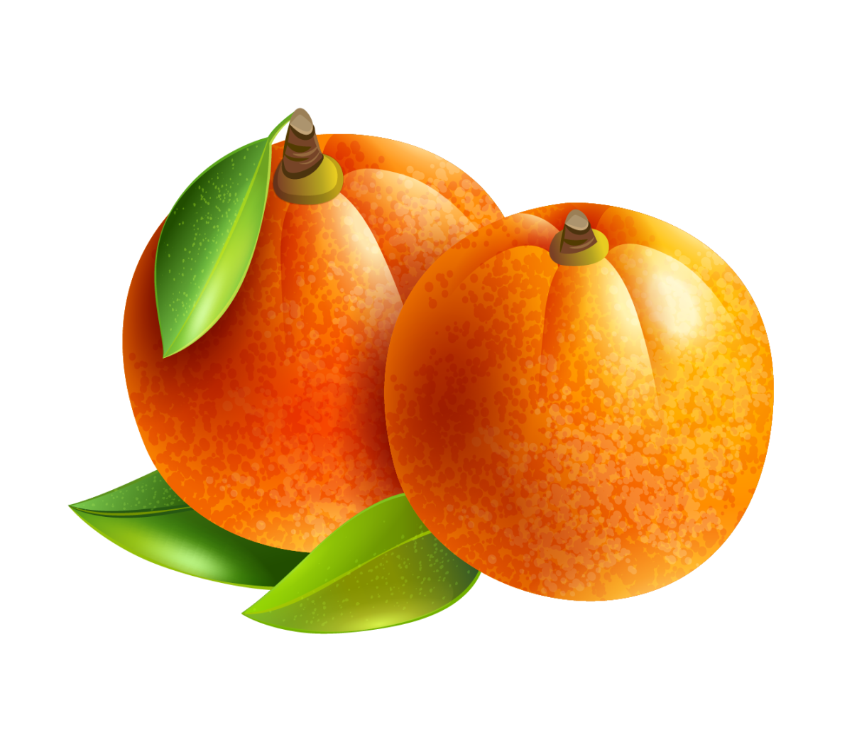 Мандарины на прозрачном фоне для фотошопа