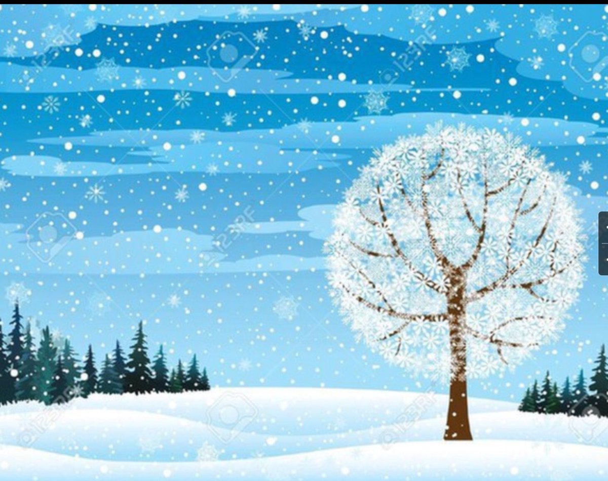 Иней на деревьях