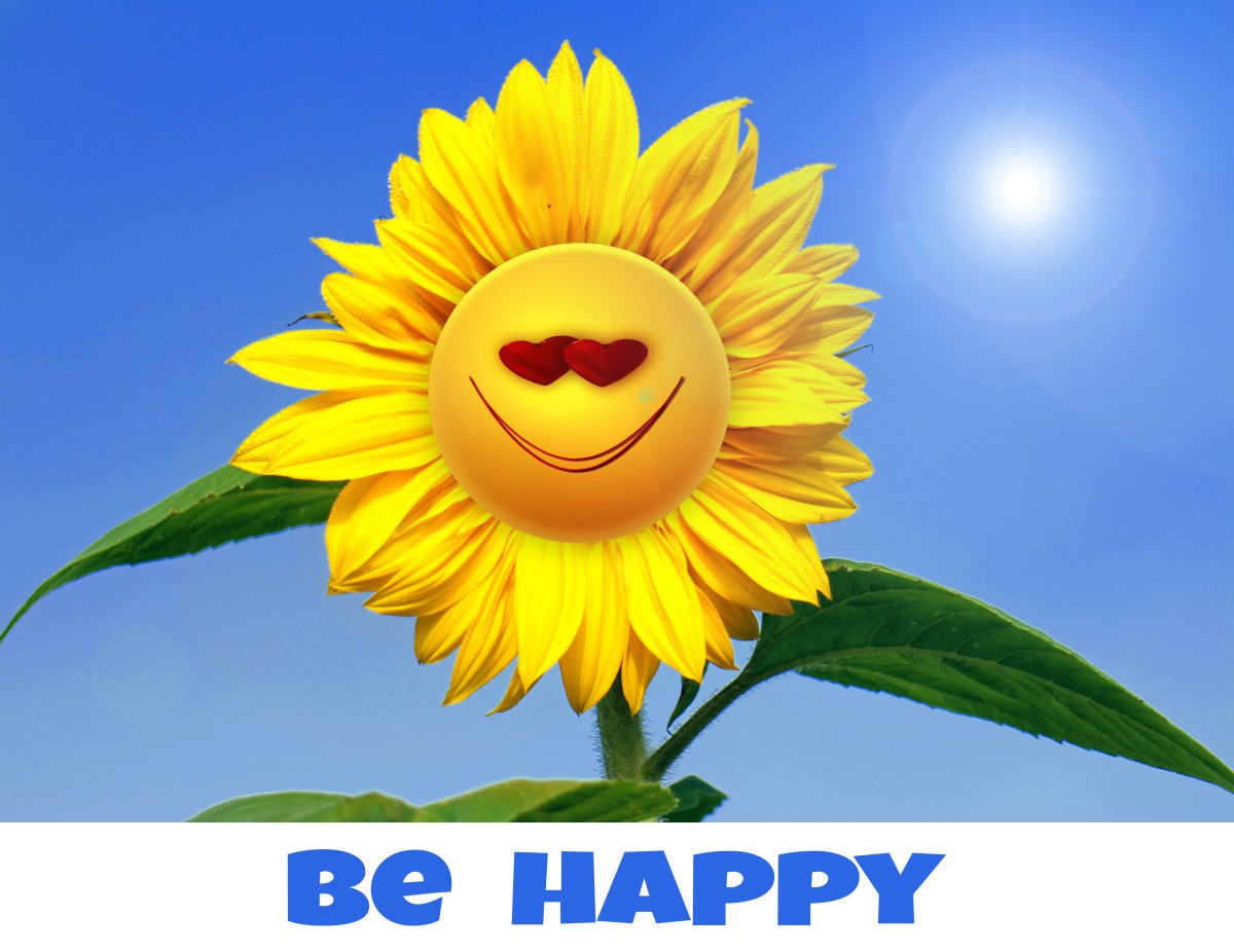 С днёмрождениясолнышко