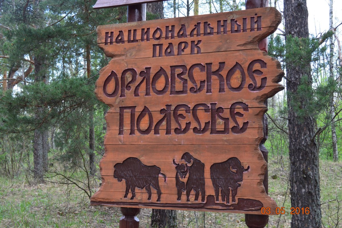 Заповедник Орловское Полесье