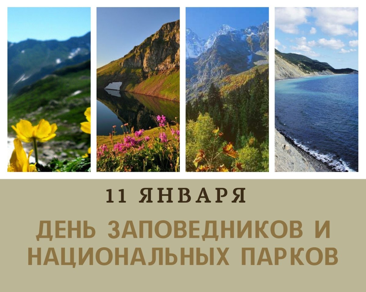 Мир заповедной природы название