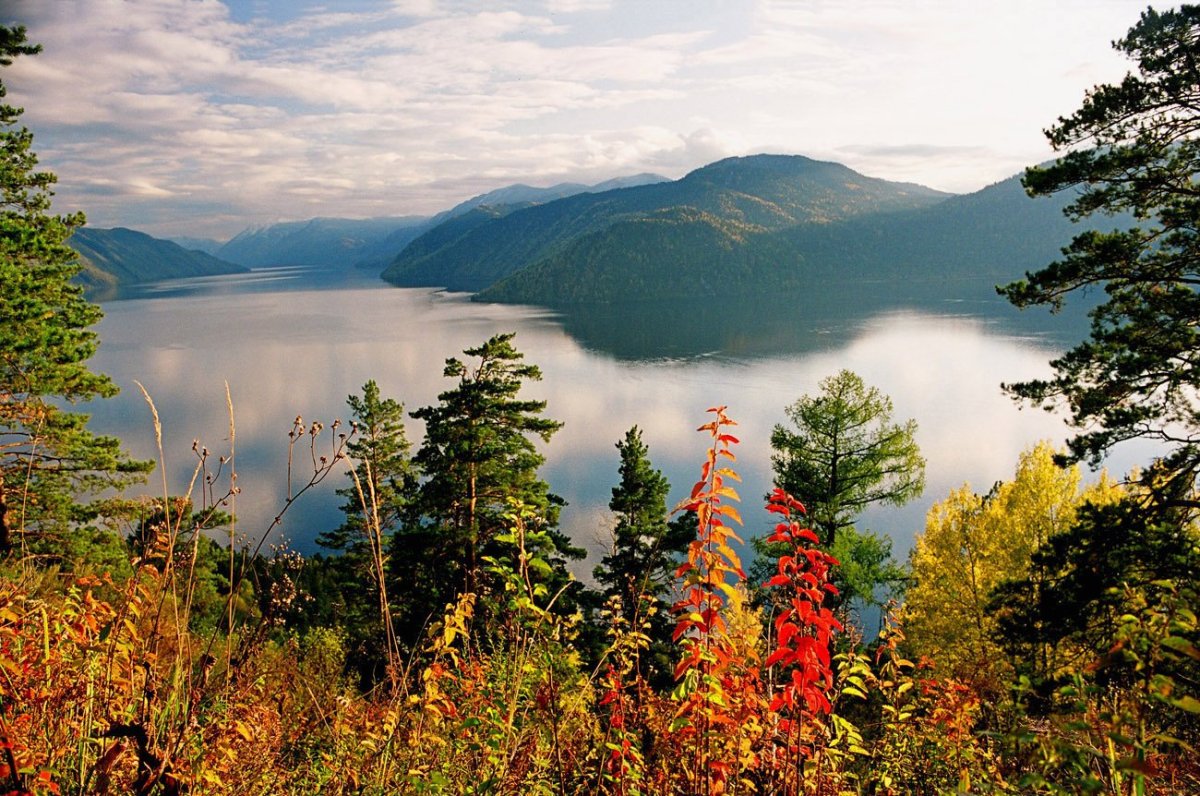 Природа Алтая Телецкое озеро