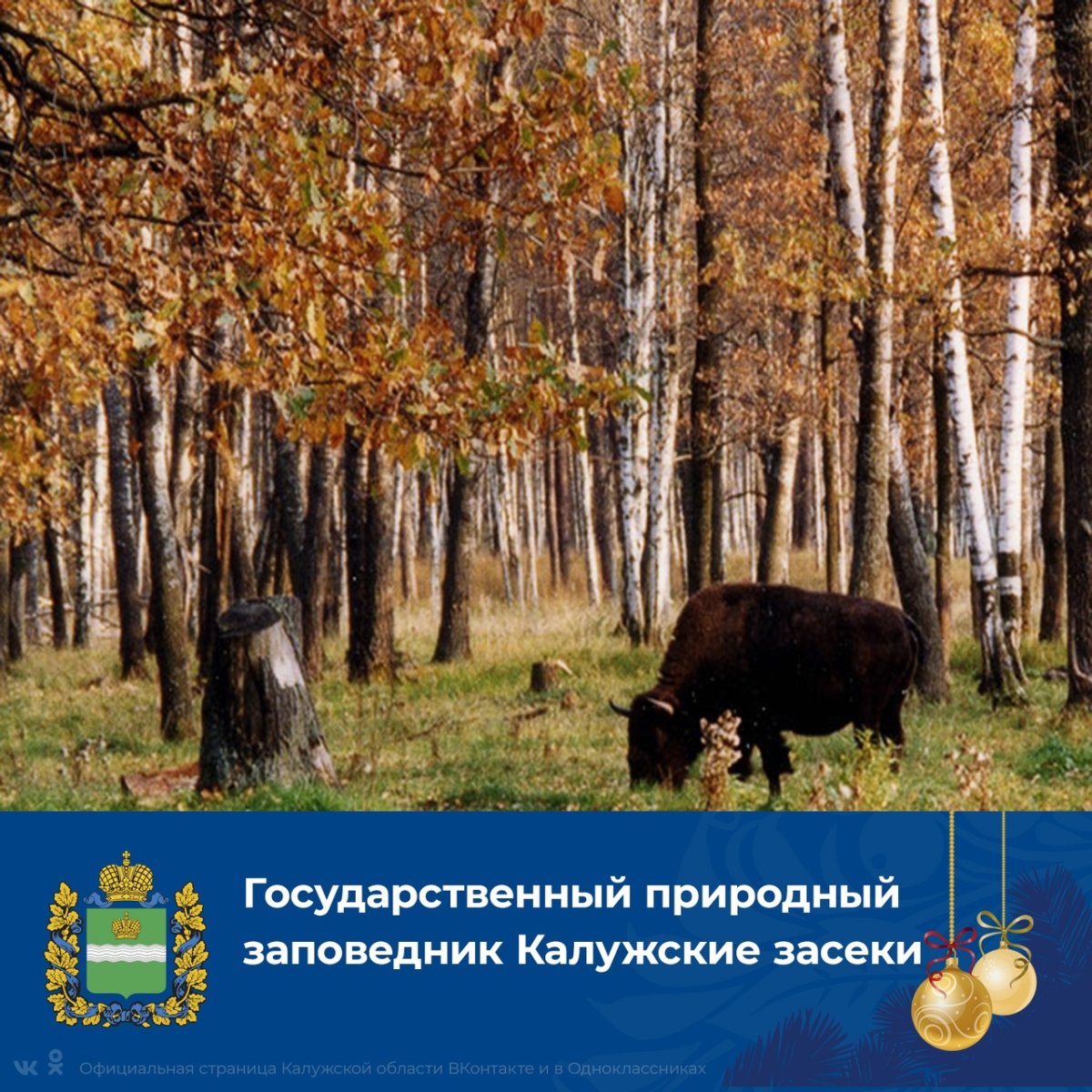 День заповедников и национальных парков России