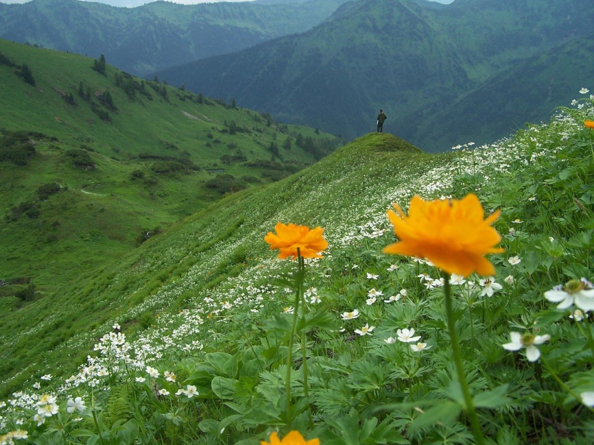 Байкальский биосферный заповедник